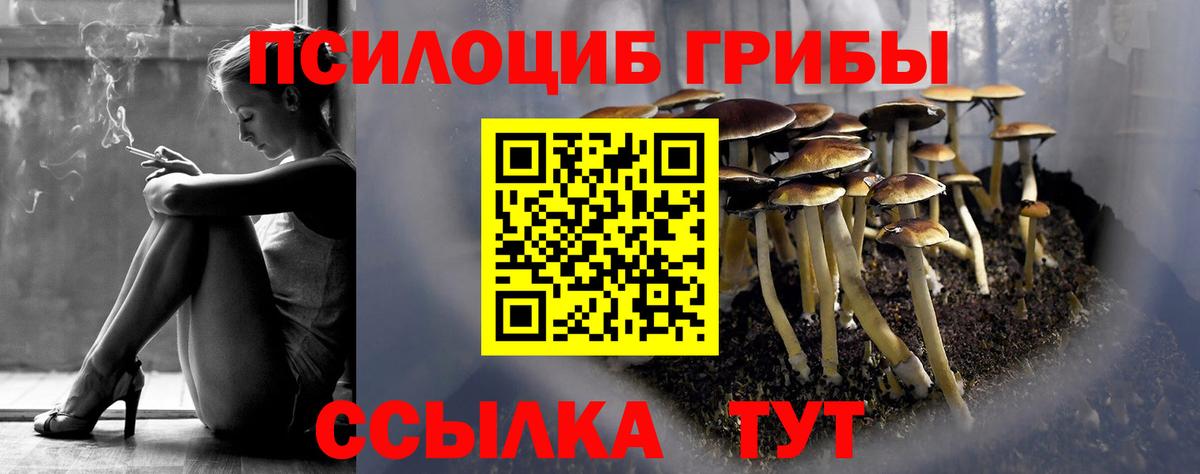 Галлюциногенные грибы MAGIC MUSHROOMS  Псилоцибиновые грибы ЛСД  купить закладку  Уварово  Вход с VPN 